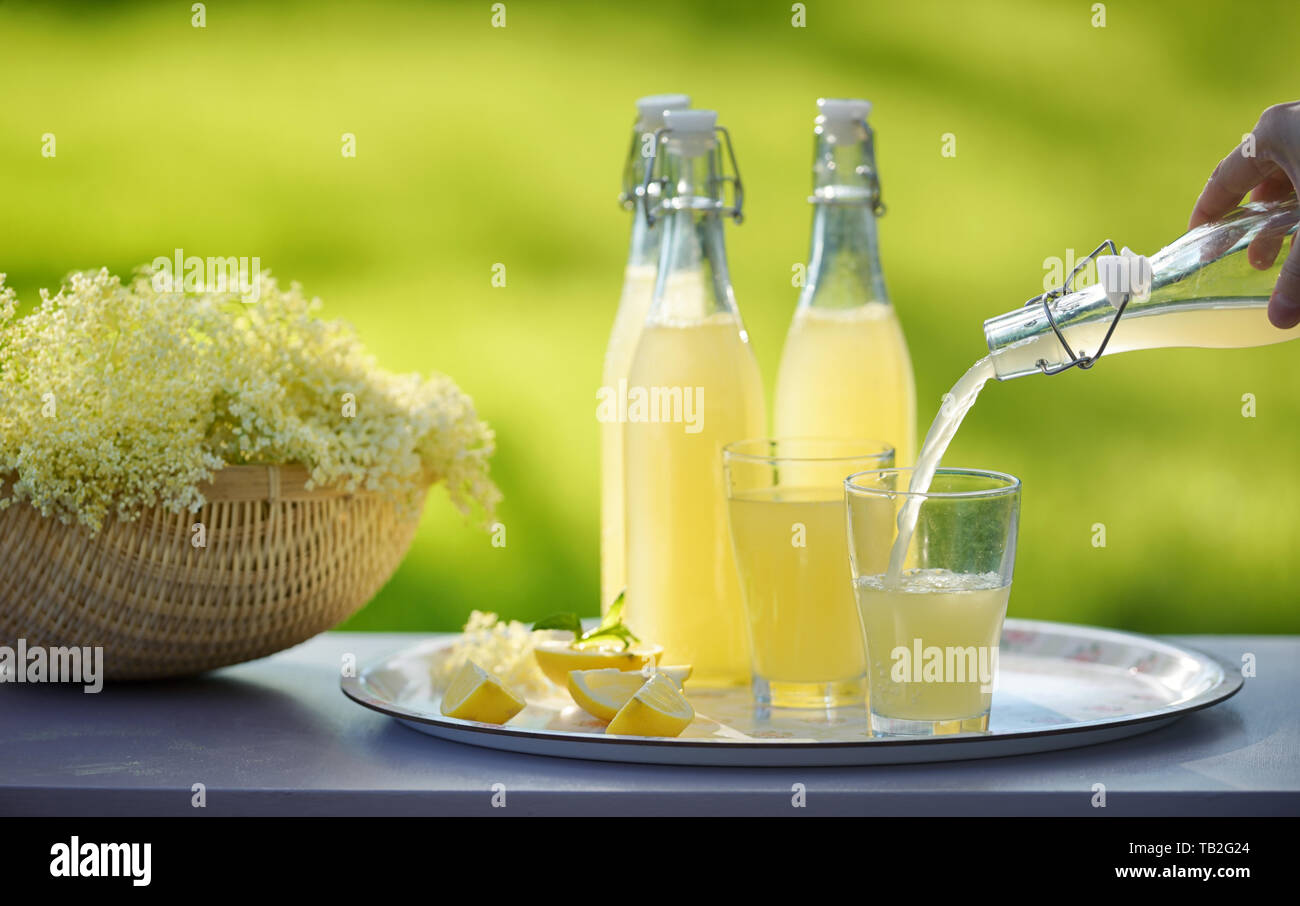 Aggiornamento primavera lâ Elderflower cordial in giardino Foto Stock