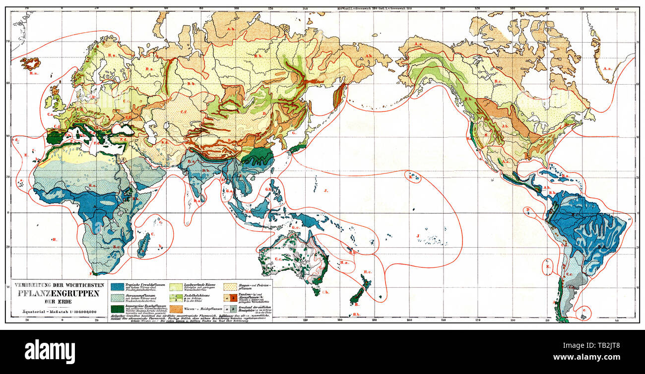 Mappa di distribuzione dei gruppi di piante sulla terra, sommario della distribuzione della giungla, savana, steppa, tundra, prati, brughiera, zone di conifere, zone di vegetazione e tipi di vegetazione, secolo XIX, Foto Stock