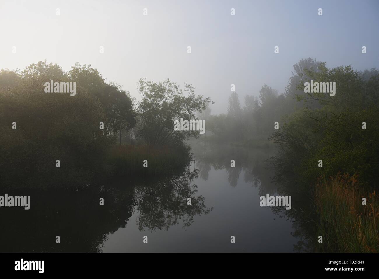 Bella foschia mattutina sul fiume con vetro simili riflessioni. Foto Stock