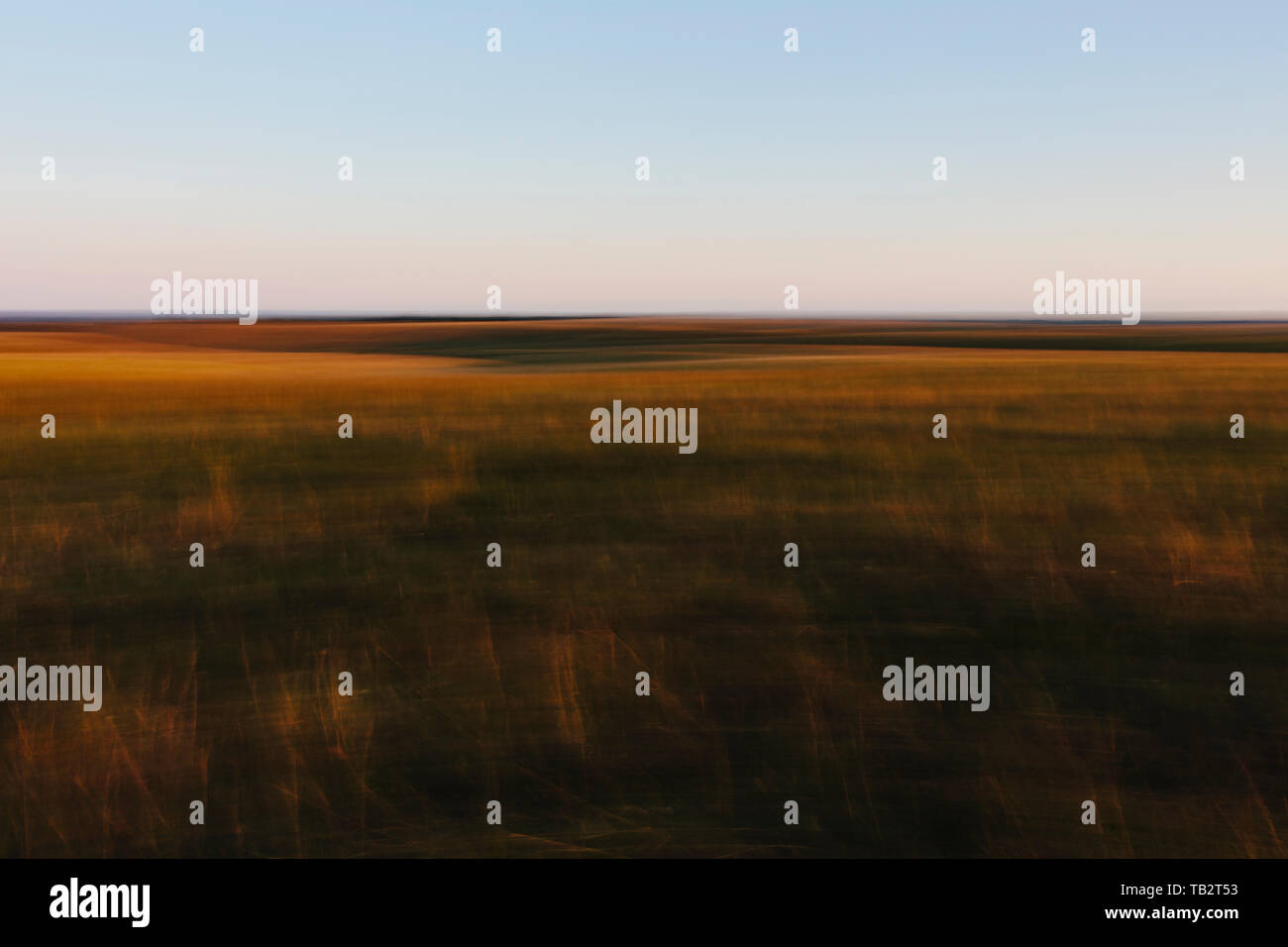 Abstract di Tallgrass Prairie preservare il paesaggio al crepuscolo Foto Stock