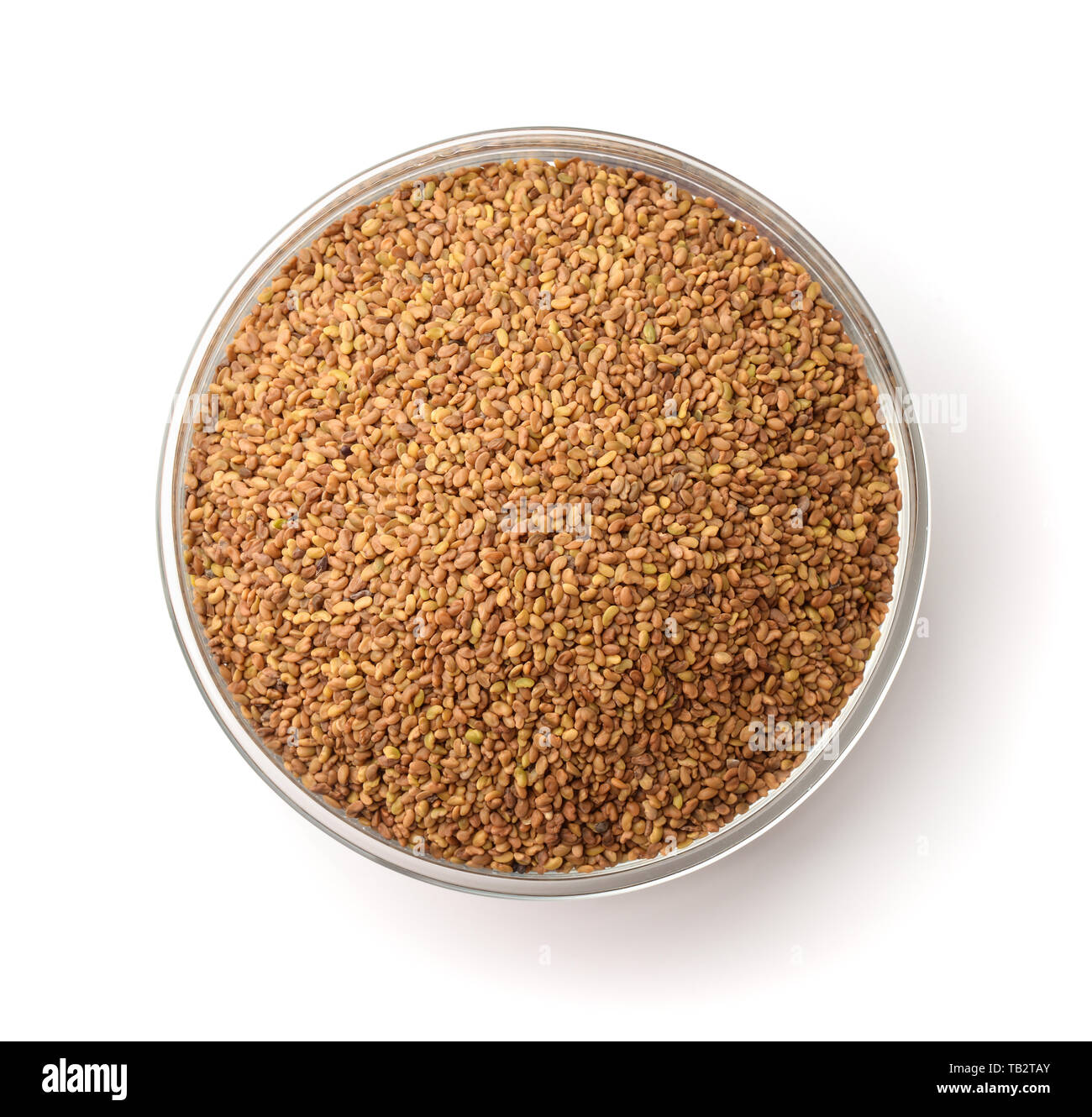 Vista dall'alto di semi di erba medica in recipiente di vetro isolato su bianco Foto Stock