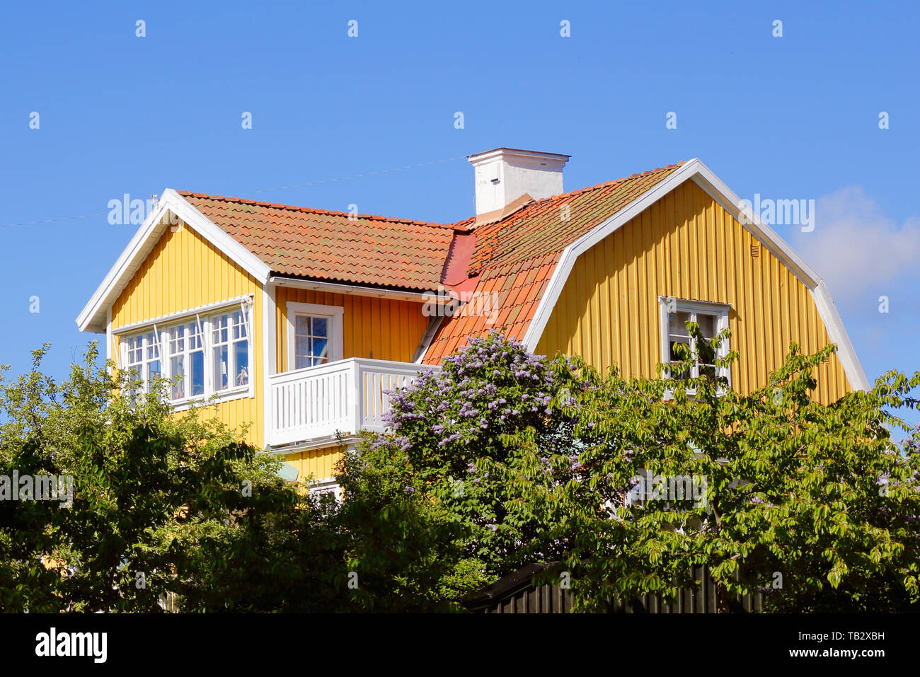 Vista esterna di un giallo a due piani in legno 1920s famiglia singola abitazione parzialmente nascosto dietro gli alberi nel suo giardino. Foto Stock