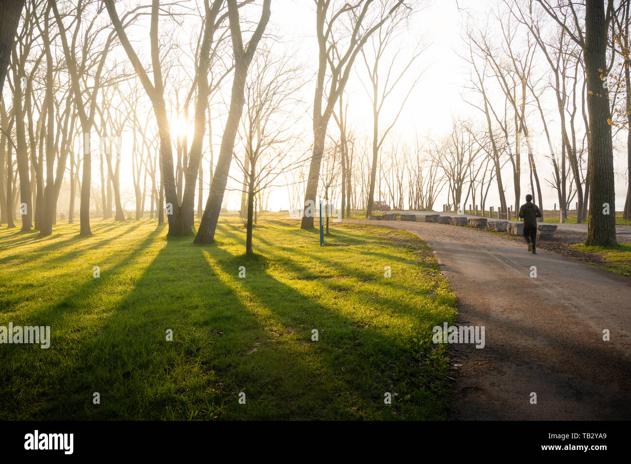 Uomo a fare jogging nel parco di mattina con Sun i raggi di luce provenienti attraverso gli alberi di primavera Foto Stock