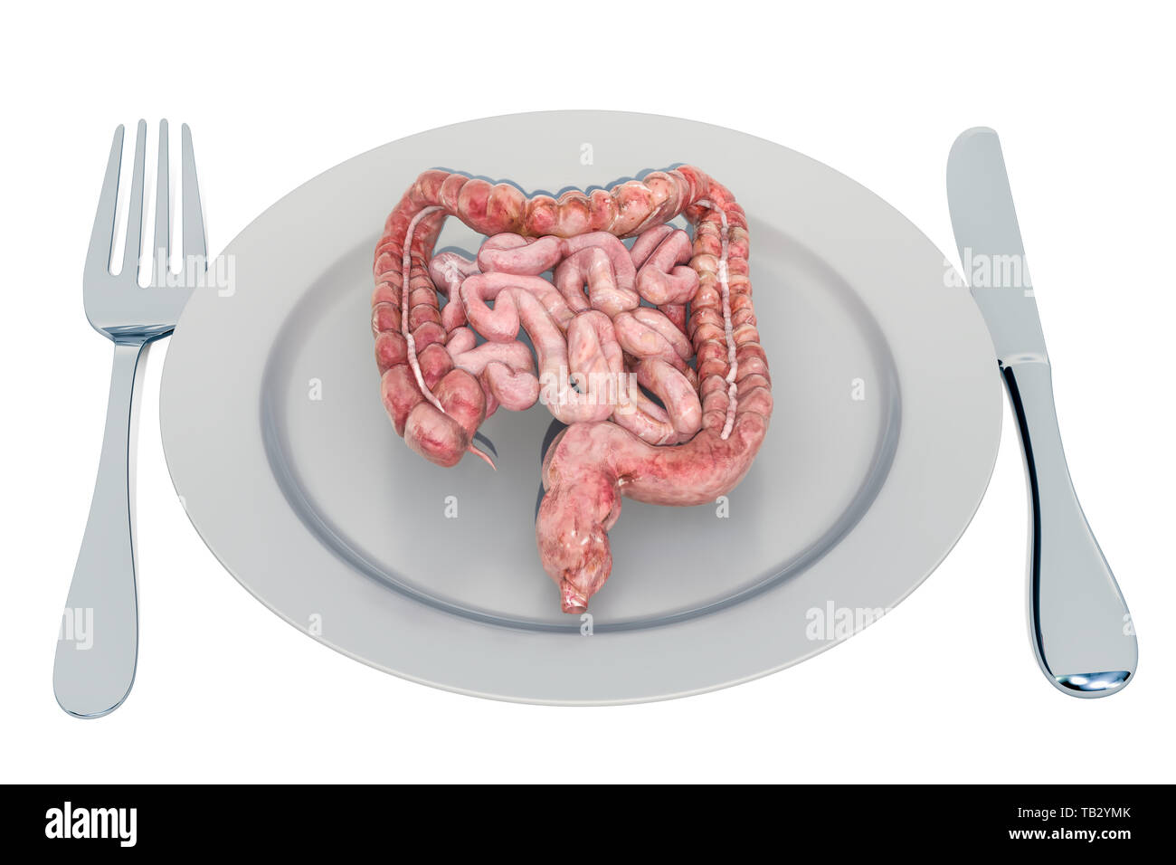 La dieta per un sano sistema digerente e gastrointestinale concetto, 3D rendering isolati su sfondo bianco Foto Stock
