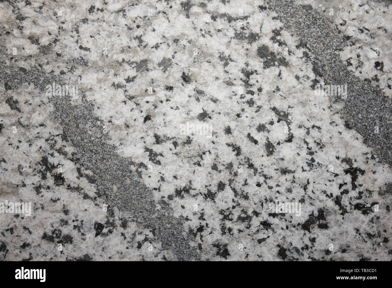 Il quarzo Diorite - Adamello batholith, Val Fredda complessa, Alpi Italiane Foto Stock
