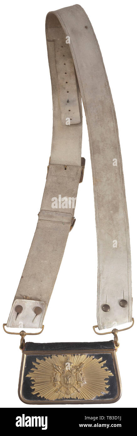 Un Francese cartuccia napoleonico box e dei nastri, cassetta di pelle nera con finiture dorate, stelle dorate con dettagliate cresta napoleonico anteriore, rosso interni in pelle, velluto nero torna, dorate monta dei nastri e fibbie, bianco dei nastri in pelle. USA-lotto. Francia, Imperiale, Impero francese, oggetto, oggetti, alambicchi, clipping, tagliate, cut-out, cut-outs, storico, storico del XIX secolo, Additional-Rights-Clearance-Info-Not-Available Foto Stock