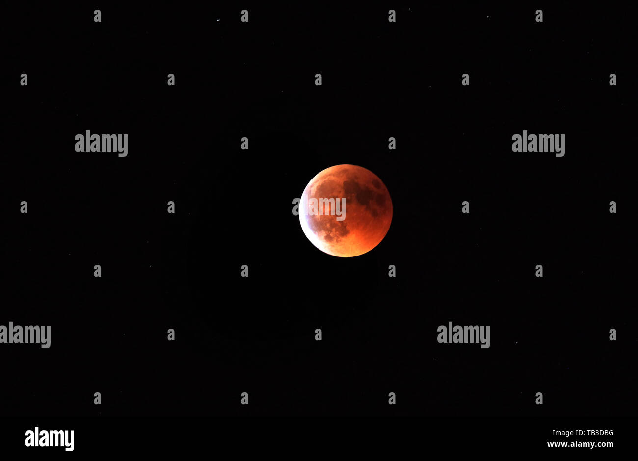 27.07.2018, Berlin, Berlin, Germania - eclissi lunare totale con rame-colorato di rosso la luna piena, la cosiddetta luna di sangue. 00S180727D956CAROEX.JPG [modello Foto Stock