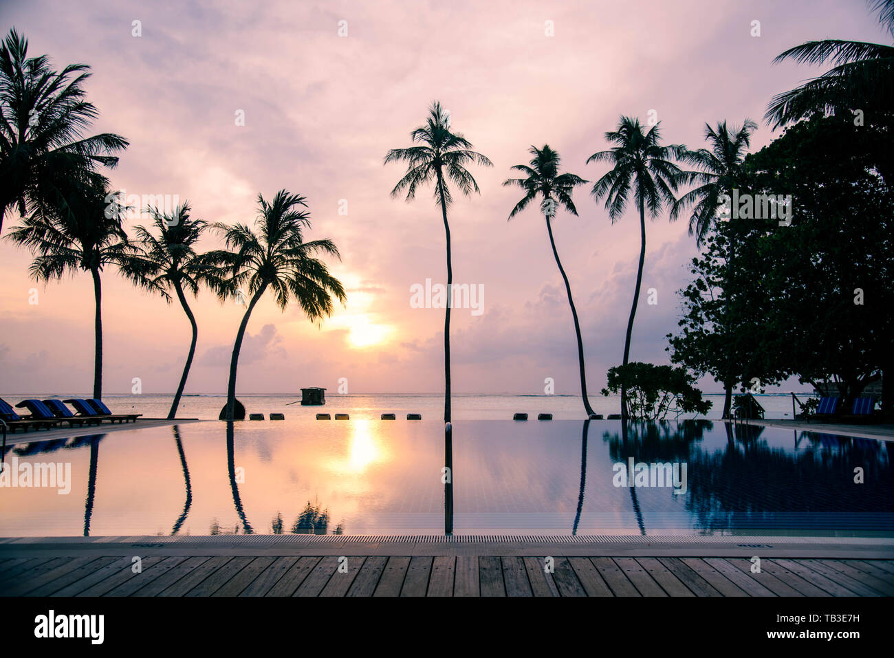 Isola Meeru Maldive Aprile 2019. - La spiaggia di sunsrise sull isola tropicale con palme. Foto Stock