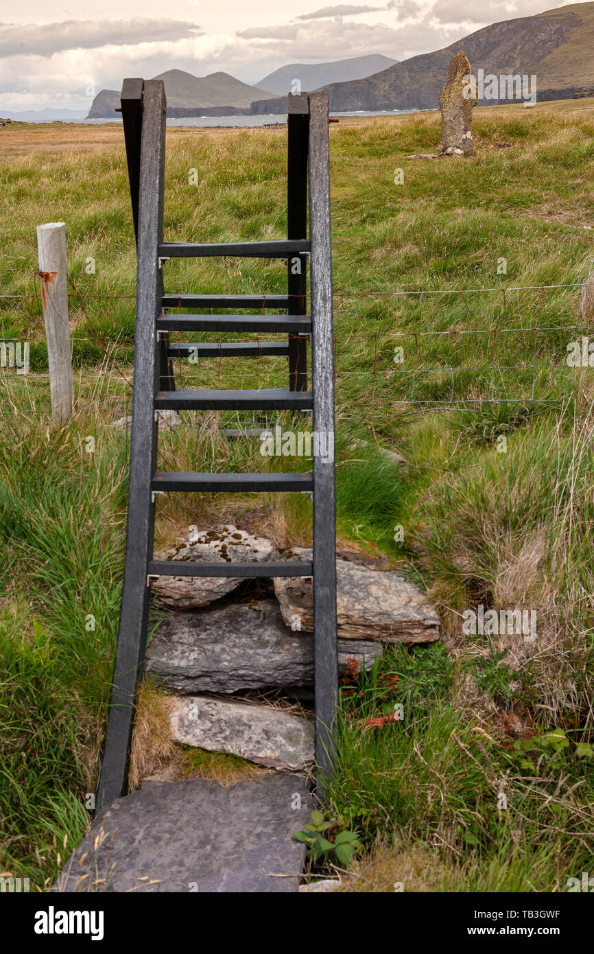 Montante della scala e pietra in piedi vicino a St Brendan è bene, Valentia Island, nella contea di Kerry, Irlanda Foto Stock