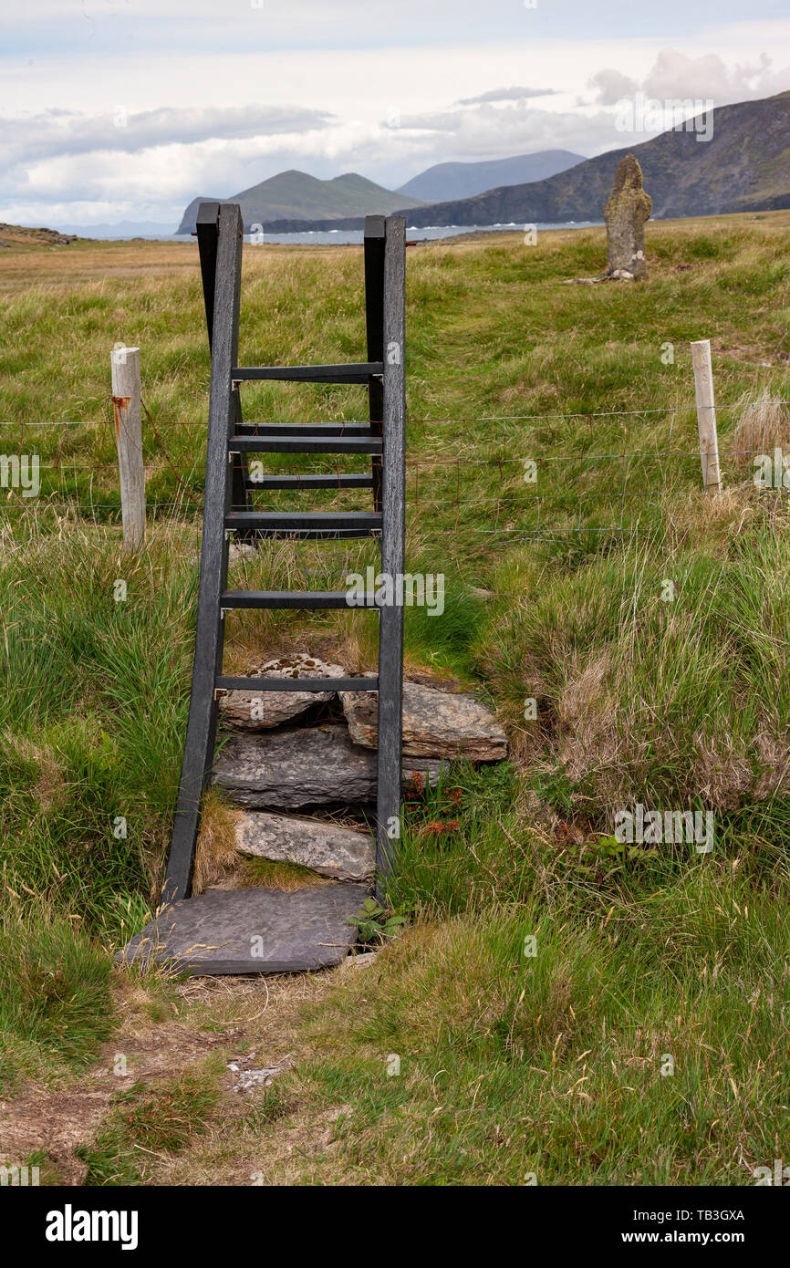 Montante della scala e pietra in piedi vicino a St Brendan è bene, Valentia Island, nella contea di Kerry, Irlanda Foto Stock
