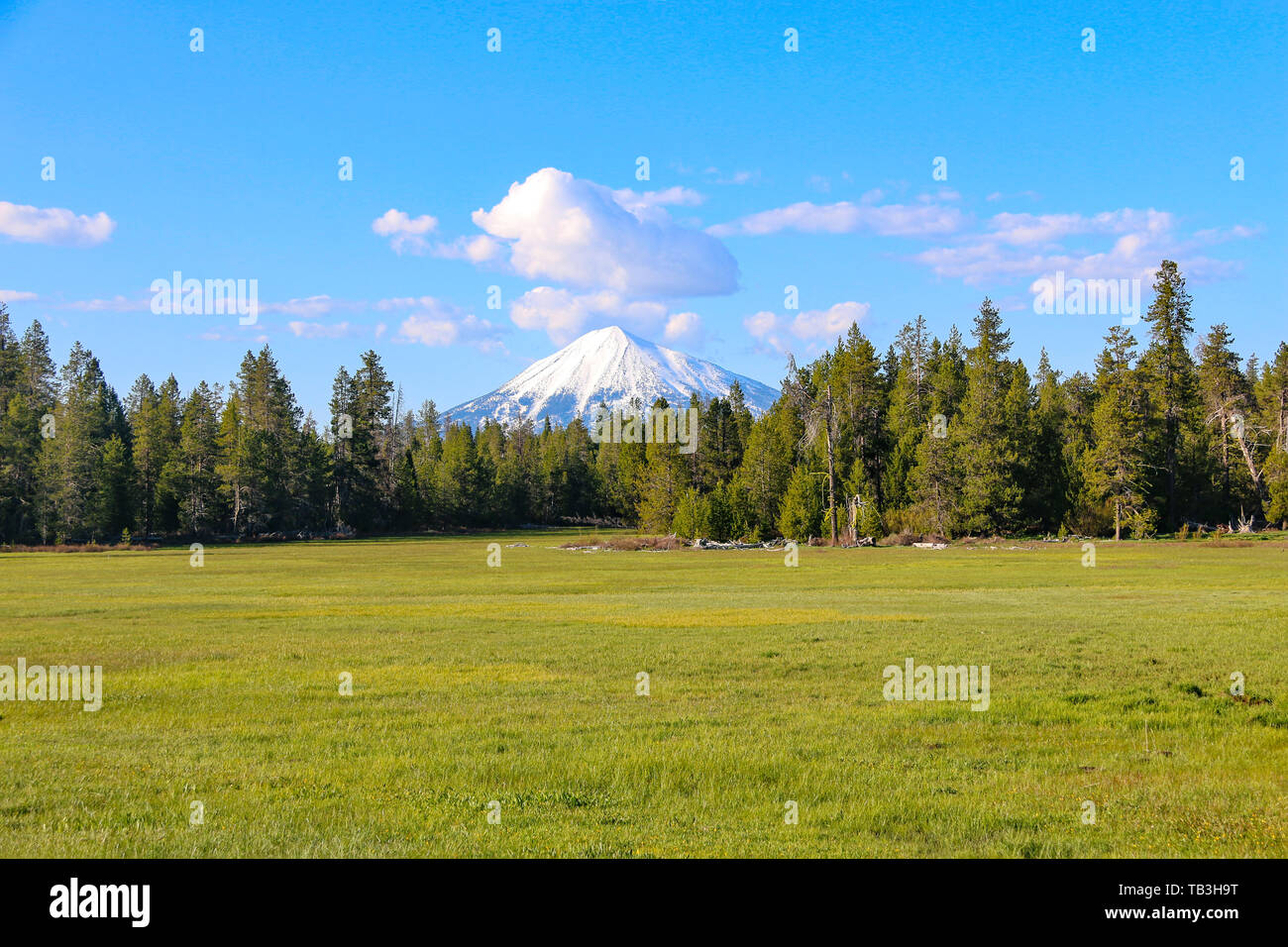 Montare McLoughlin, Oregon, Stati Uniti d'America Foto Stock