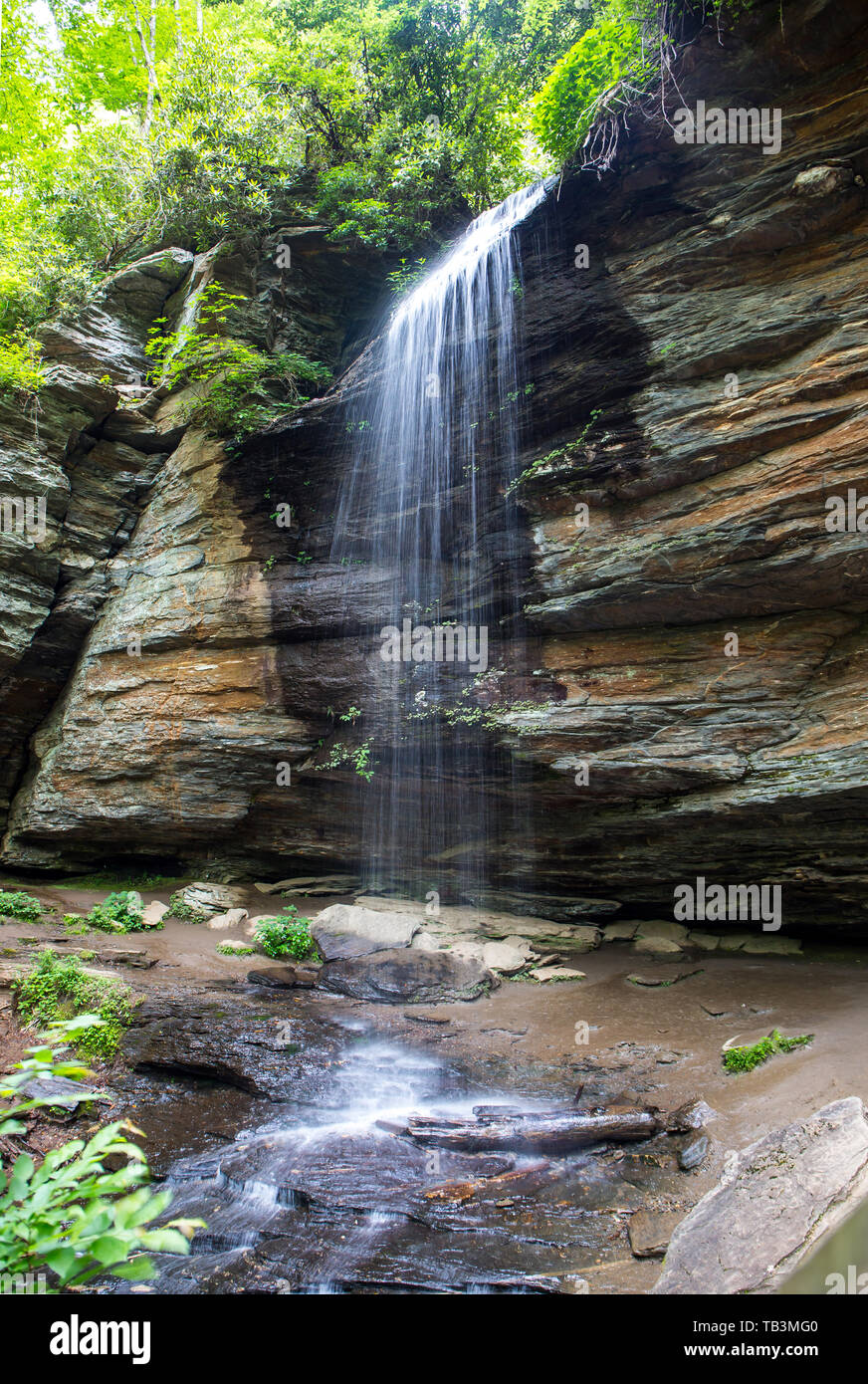 Vista verticale di Moore Cove cade nella foresta nazionale di Pisgah nella Carolina del Nord. Foto Stock