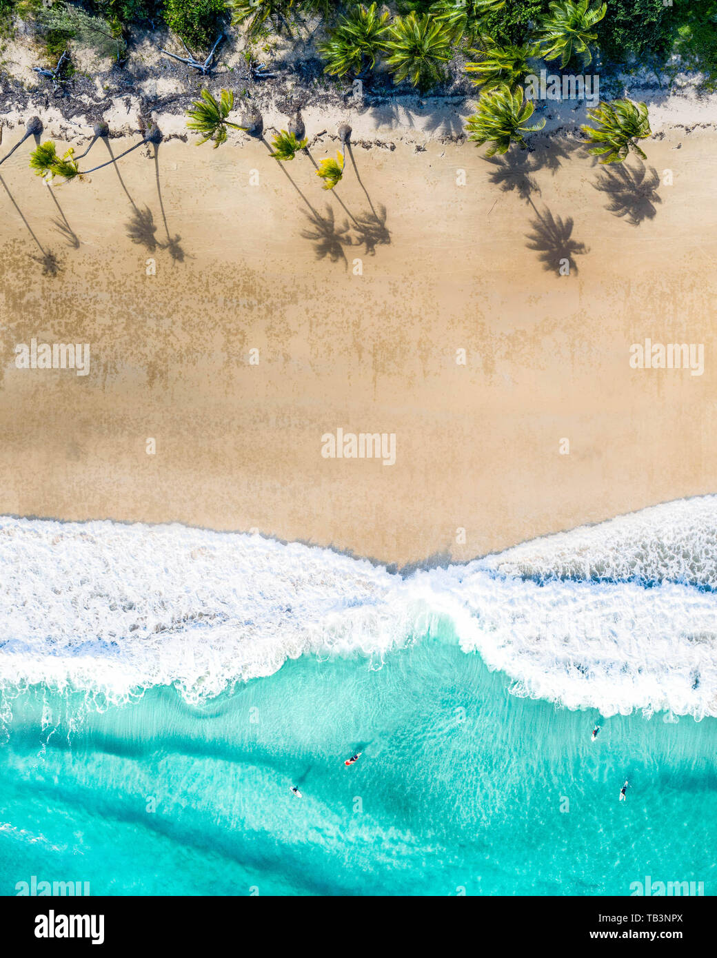 Scenario tropicale di sabbia bianca bech con noce di cocco Palm tree idilliaco sfondo turchese del mare vista aerea Foto Stock