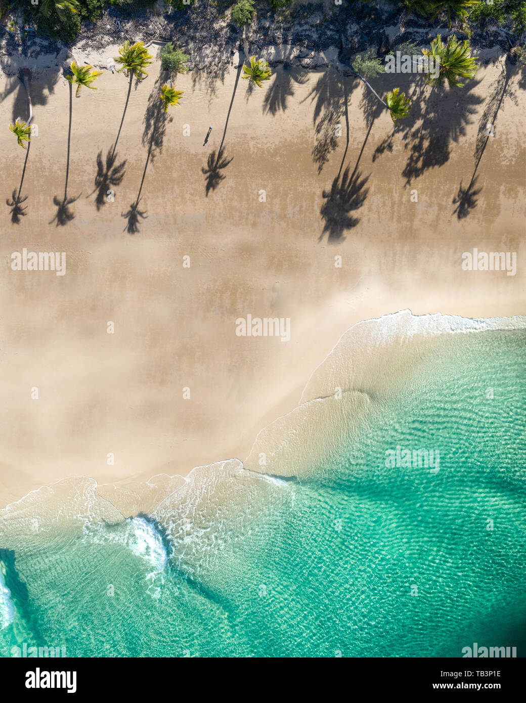 Scenario tropicale di sabbia bianca bech con noce di cocco Palm tree idilliaco sfondo turchese del mare vista aerea Foto Stock