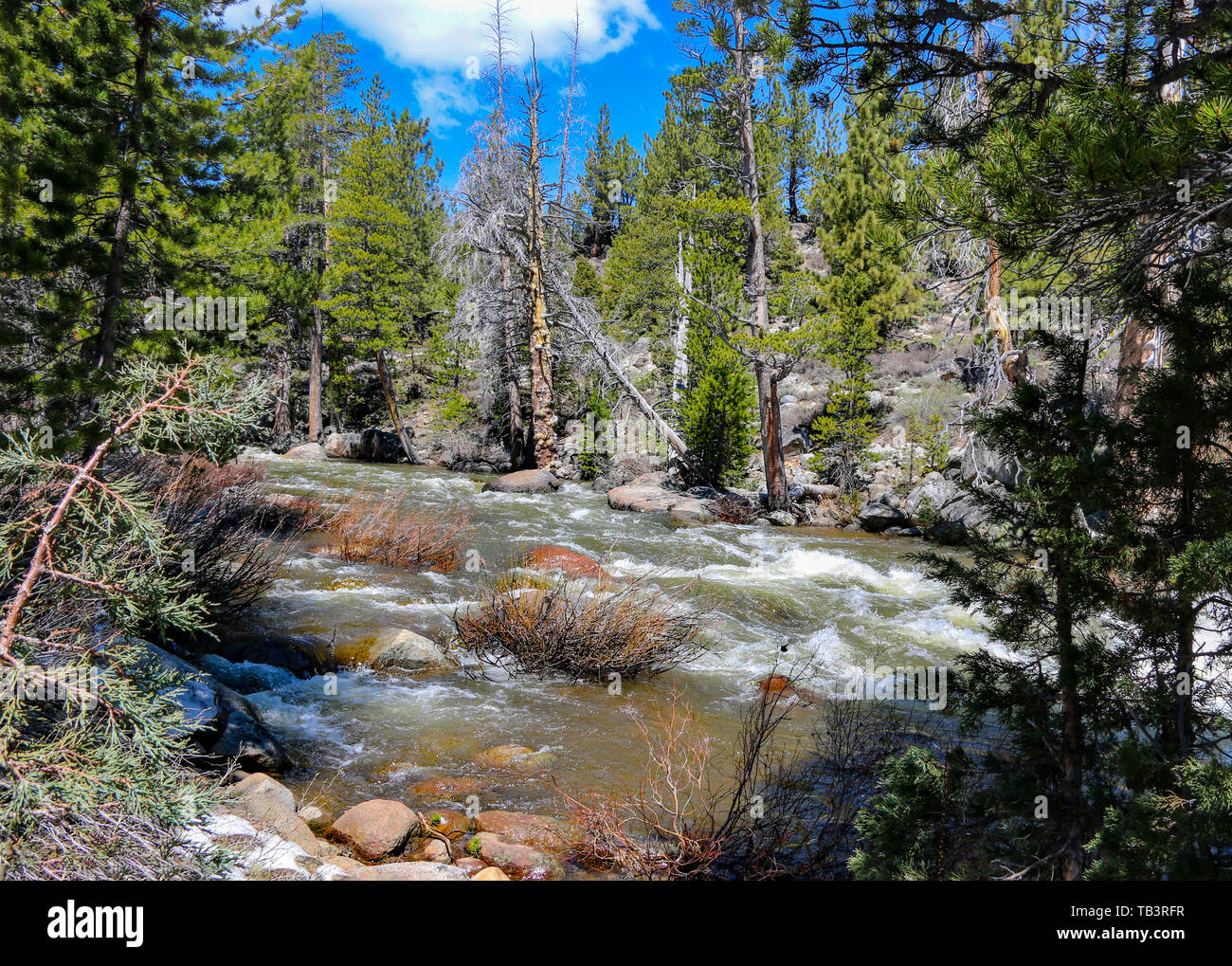 Forcella ad ovest del fiume di Carson, Picketts Junction, California Foto Stock