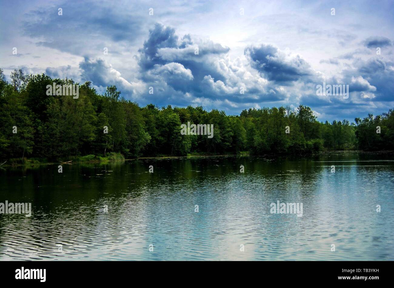 Concetto natura : Il lago Foto Stock