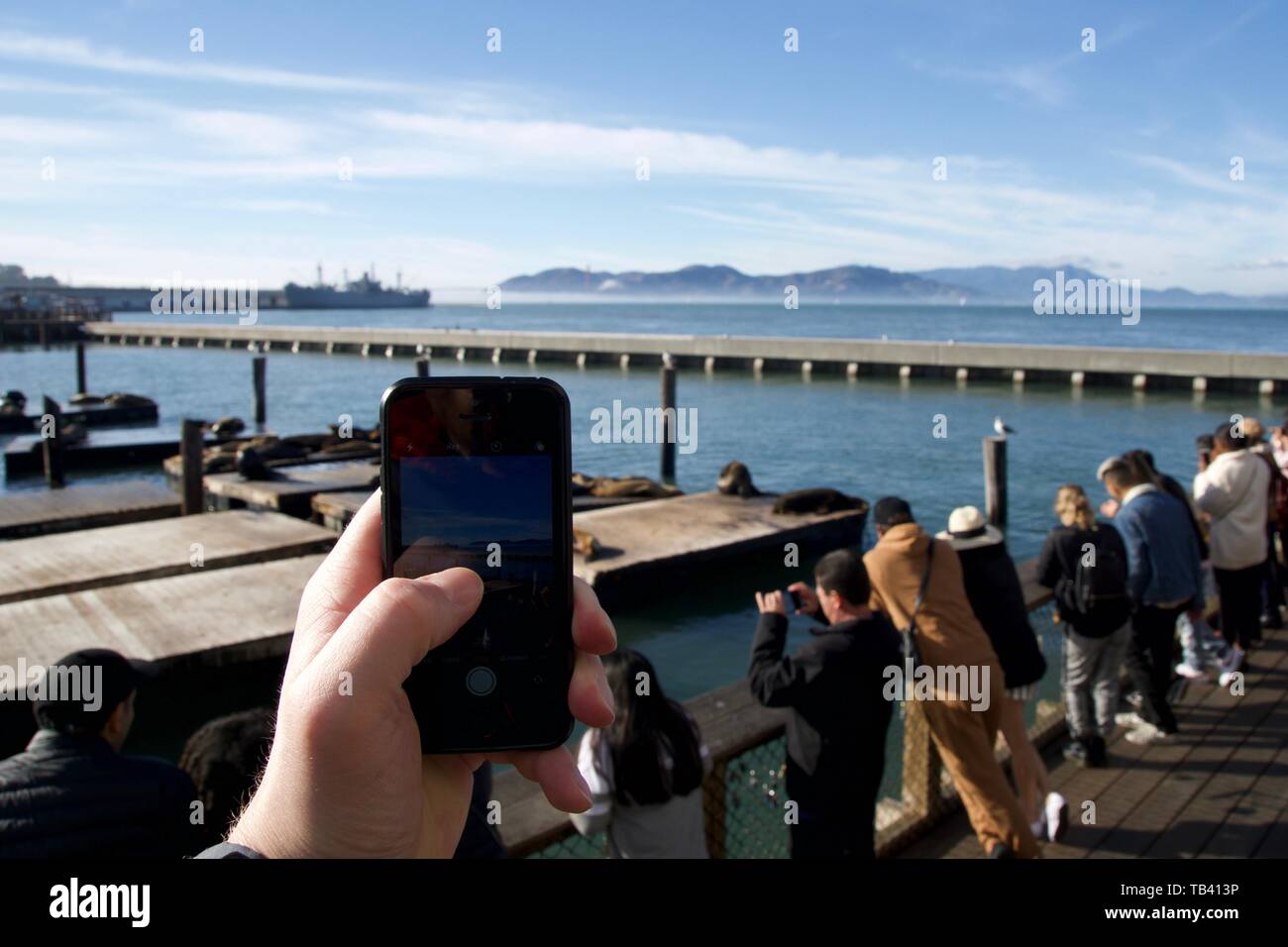 SAN FRANCISCO, CALIFORNIA, STATI UNITI - Novembre 25th, 2018: di scattare una foto con il cellulare al molo 39 guardando i leoni di mare e tourist Foto Stock