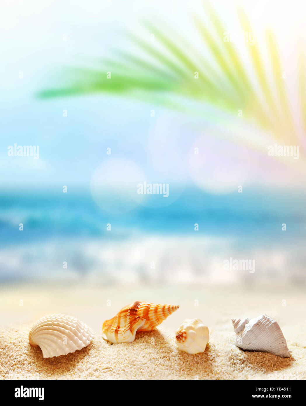 Summer Beach. Conchiglia su una spiaggia di sabbia e mare come sfondo. Foto Stock
