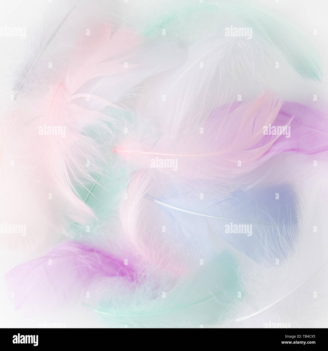 Abstract feather rainbow patchwork sfondo. Primo piano immagine. Moda tendenze colori. Foto Stock