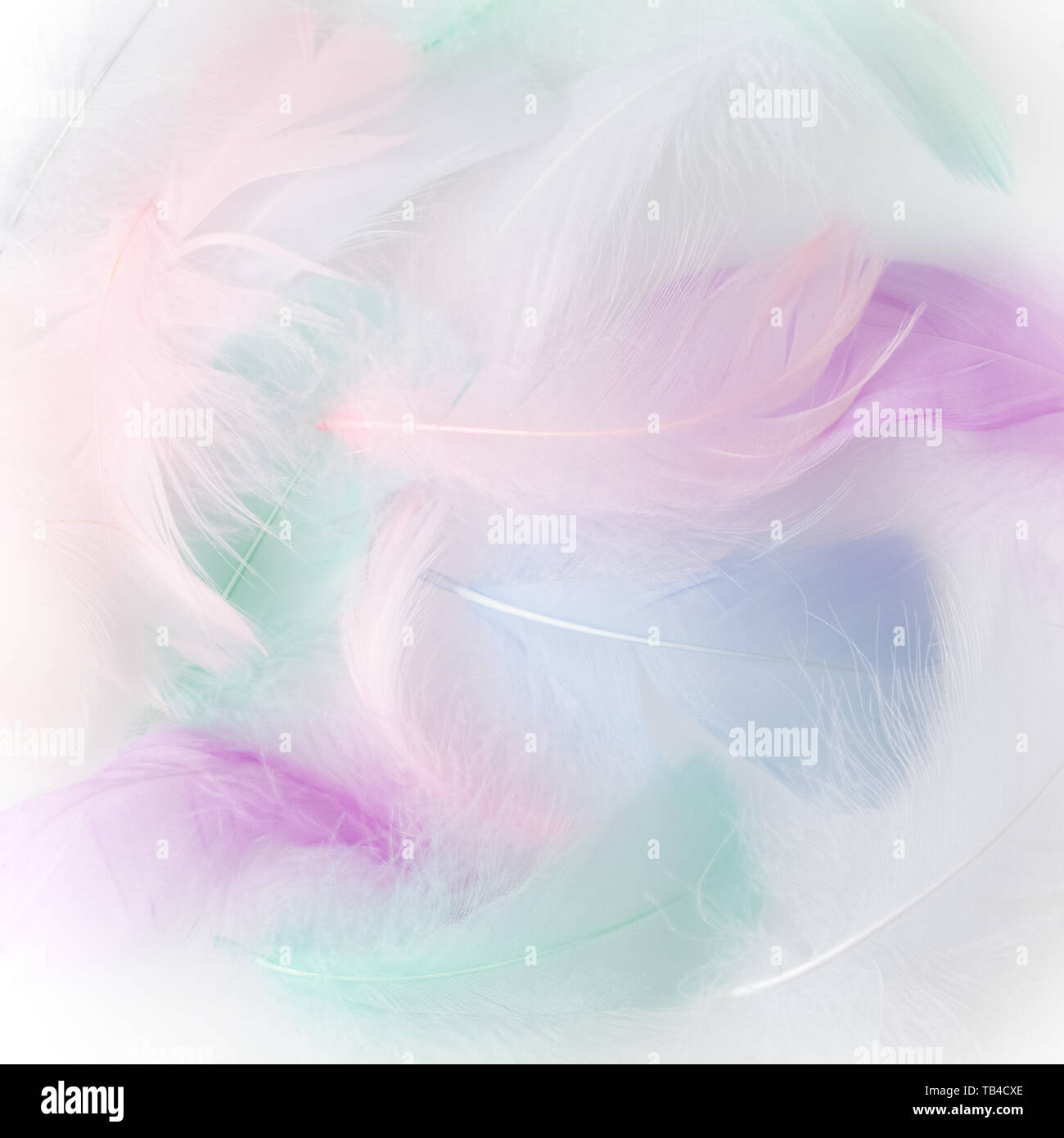 Abstract feather rainbow patchwork sfondo. Primo piano immagine. Moda tendenze colori. Foto Stock