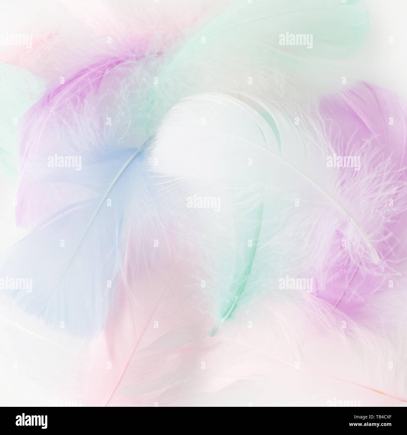 Abstract feather rainbow patchwork sfondo. Primo piano immagine. Moda tendenze colori. Foto Stock