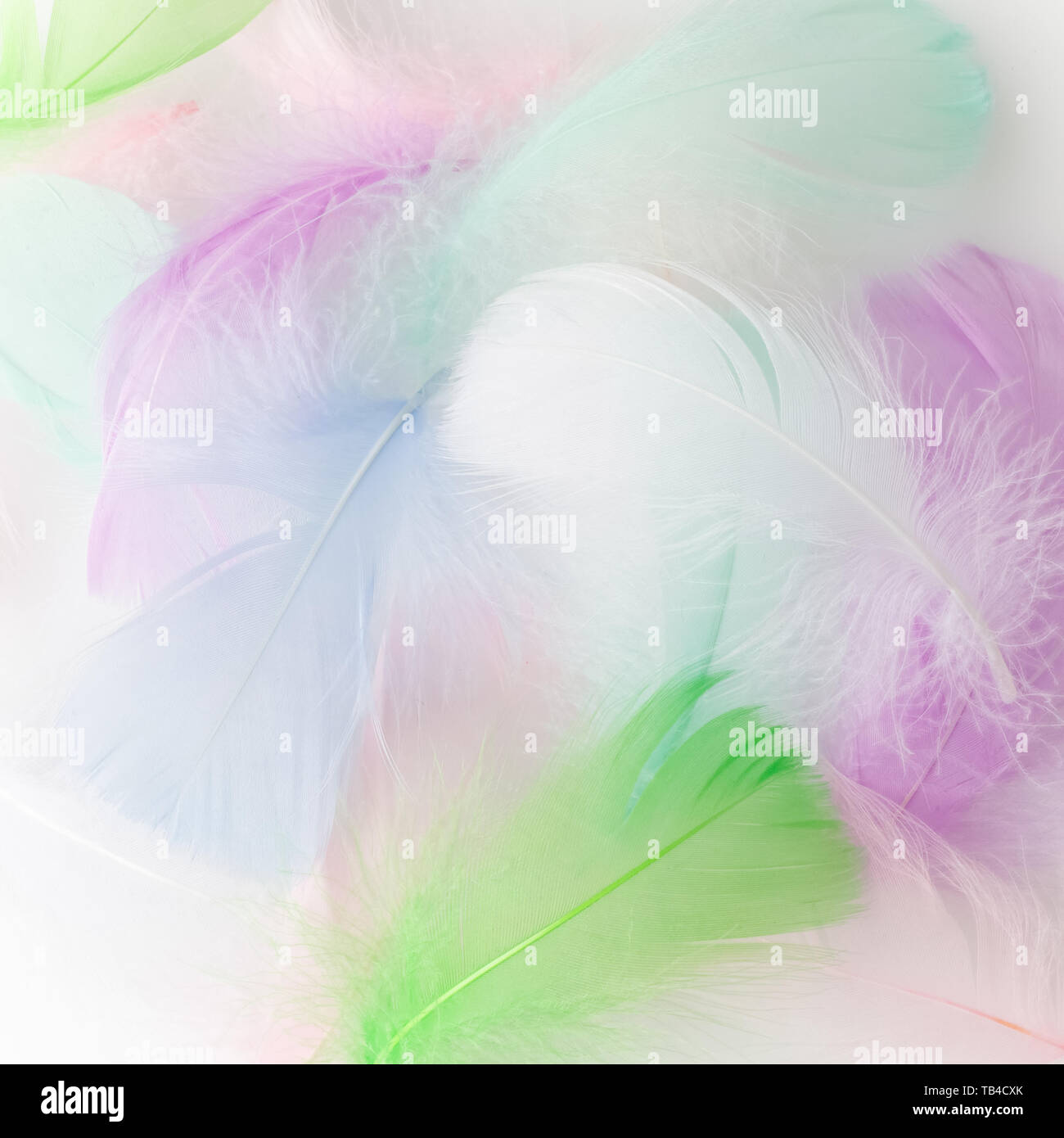 Abstract feather rainbow patchwork sfondo. Primo piano immagine. Moda tendenze colori. Foto Stock