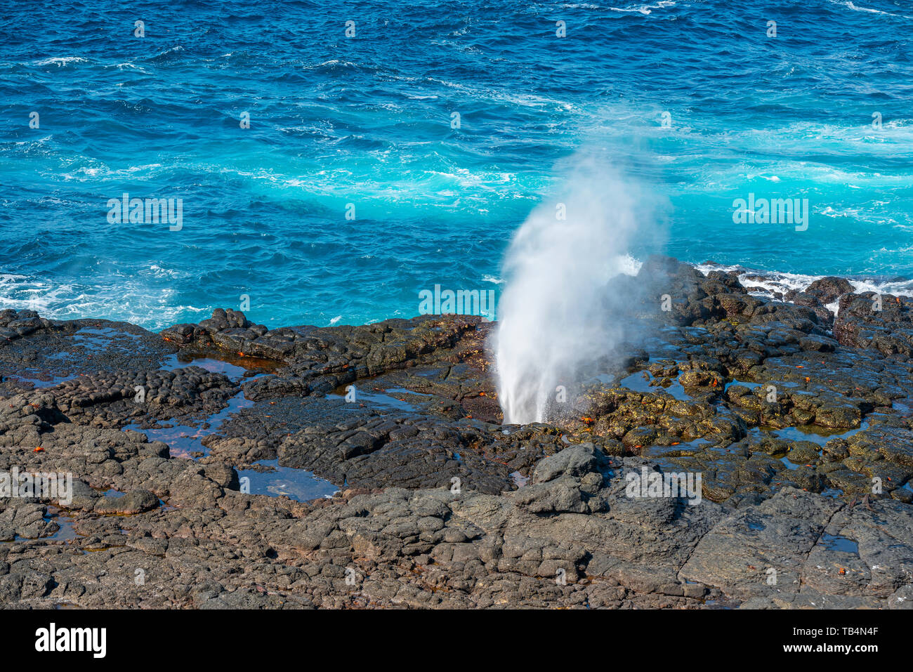 Paesaggio con la punta Pitt con un blowhole eruzione sulla Espanola isola e le acque blu dell'Oceano Pacifico, isole Galapagos, Ecuador. Foto Stock