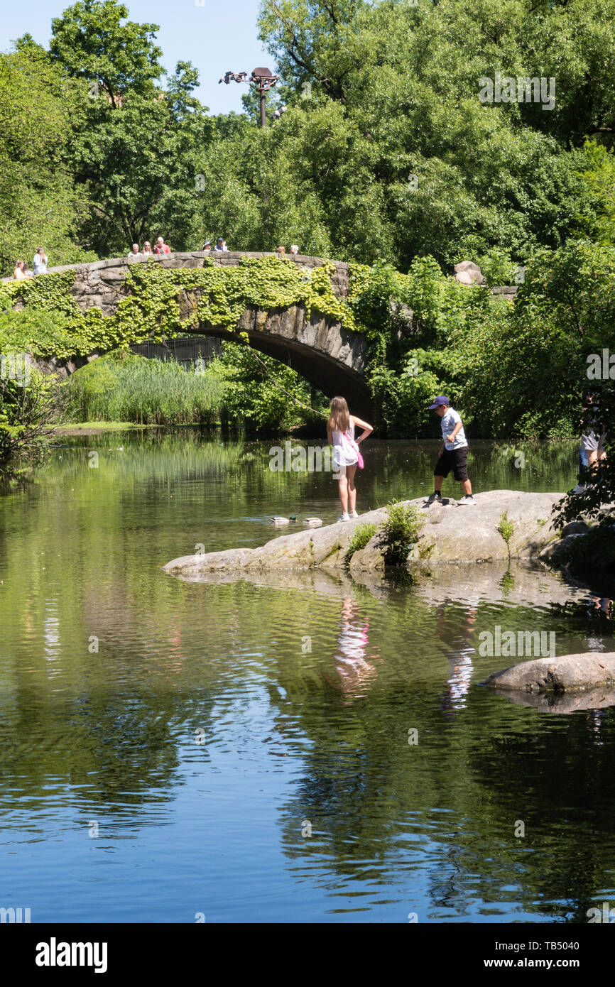 Gapstow Bridge a Central Park, New York, Stati Uniti d'America Foto Stock