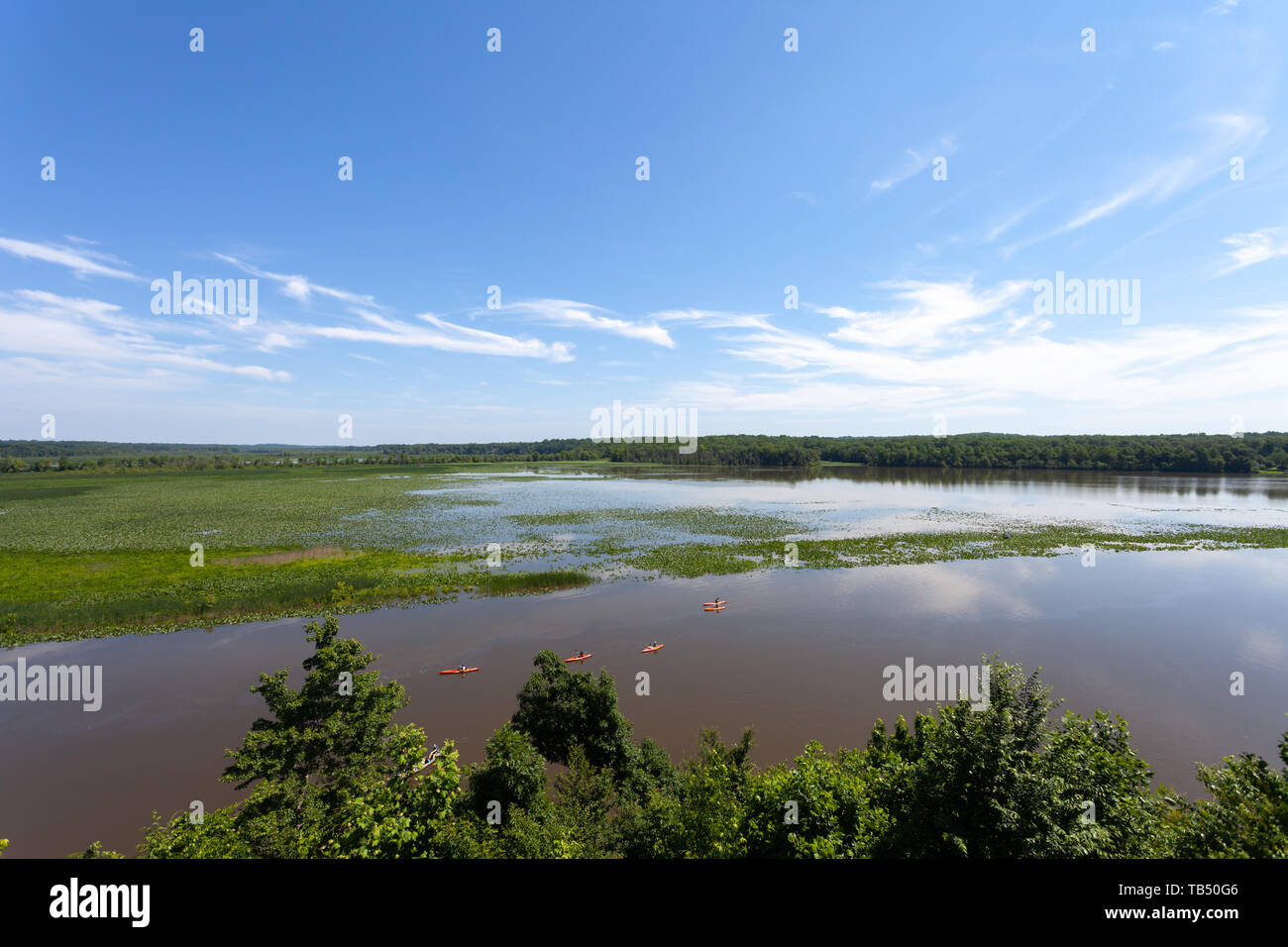 Il kayak sul fiume Patuxent Foto Stock