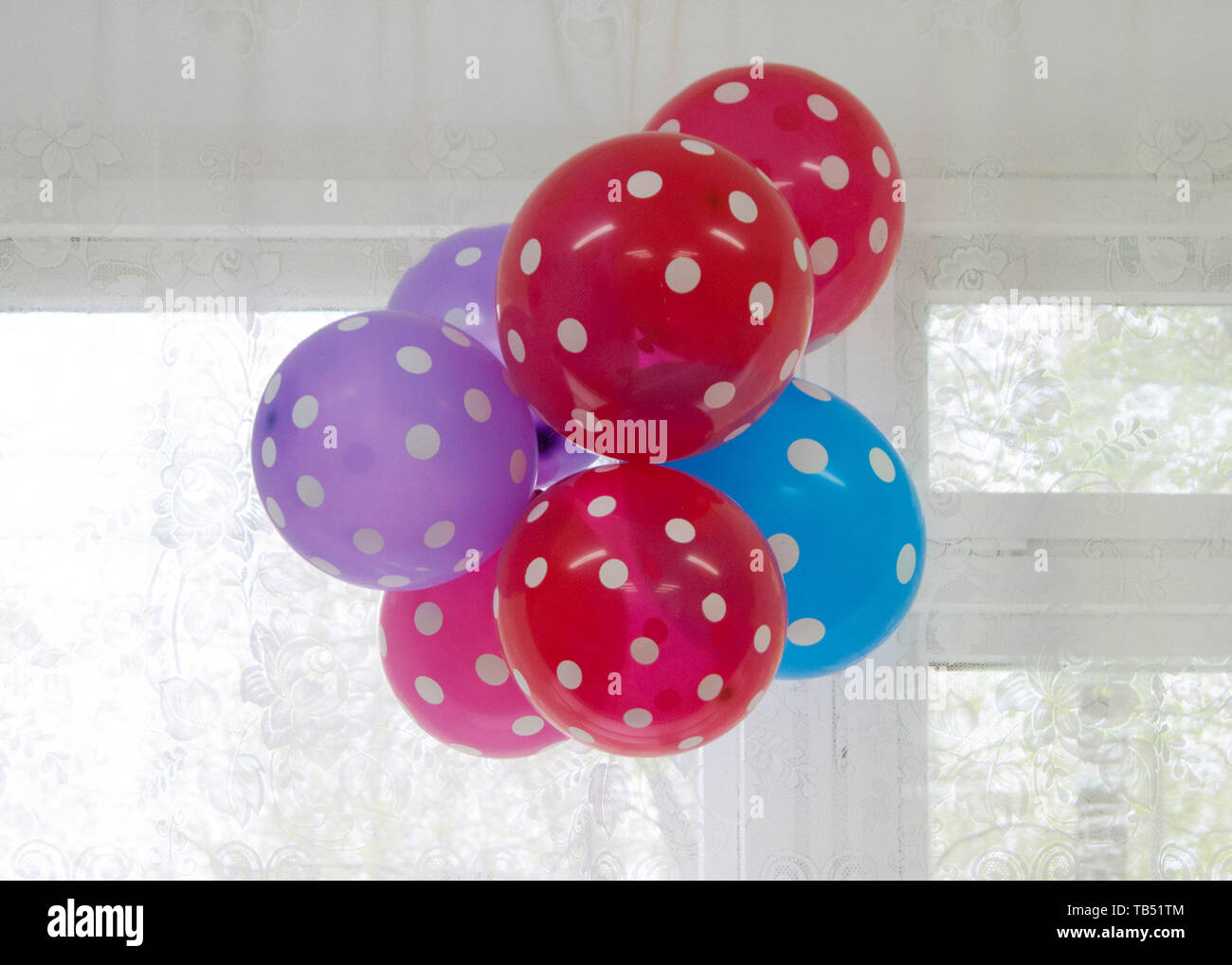Palloncini luminosi - rosso, blu e lilla con il bianco a pois appendere in  un mazzetto sulla finestra Foto stock - Alamy