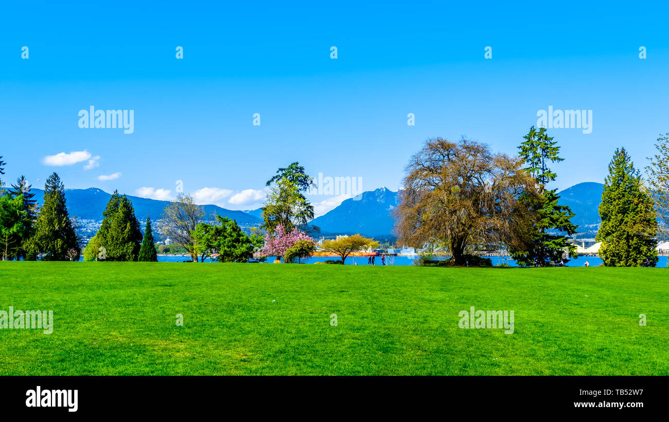 Il prato verde a Brockton Point a Vancouver il famoso Parco di Stanley in British Columbia, Canada Foto Stock