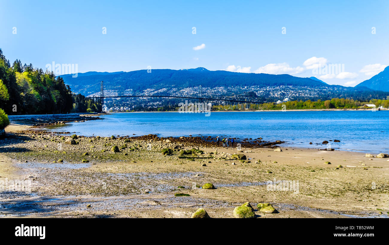 Ponte Lions Gate, una sospensione ponte che collega Vancouver Stanley Park e i comuni di North Vancouver e West Vancouver, BC, Canada Foto Stock