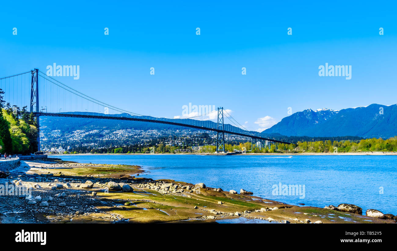 Vista del Ponte Lions Gate, una sospensione ponte che collega Vancouver Stanley Park e i comuni di North Vancouver e West Vancouver Foto Stock