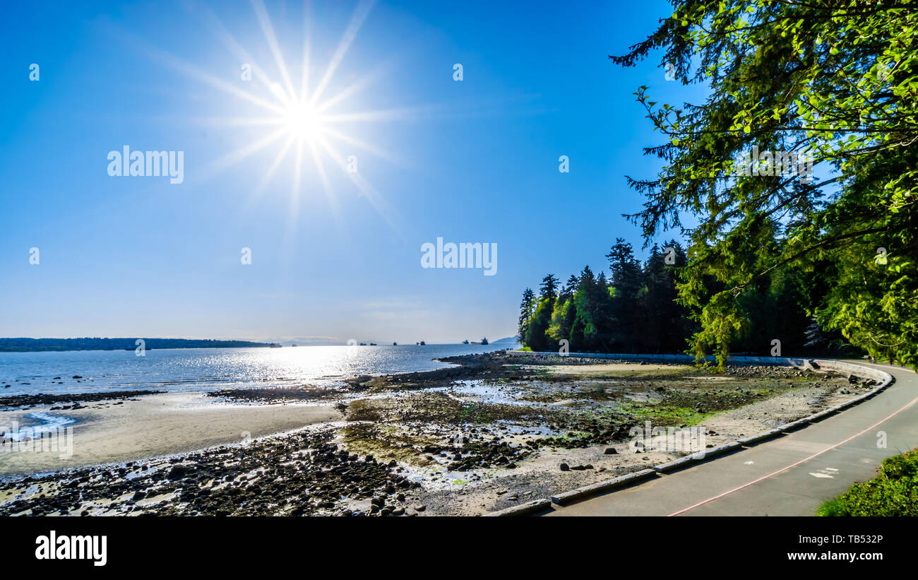 Tramonto sul navi cargo in English Bay e Burrard entrata prima del porto di Vancouver. Vista dal Parco di Stanley Seawall percorso in BC Foto Stock