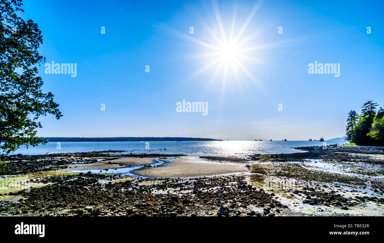 Tramonto sul navi cargo in English Bay e Burrard entrata prima del porto di Vancouver. Vista dal Parco di Stanley Seawall percorso in BC Foto Stock