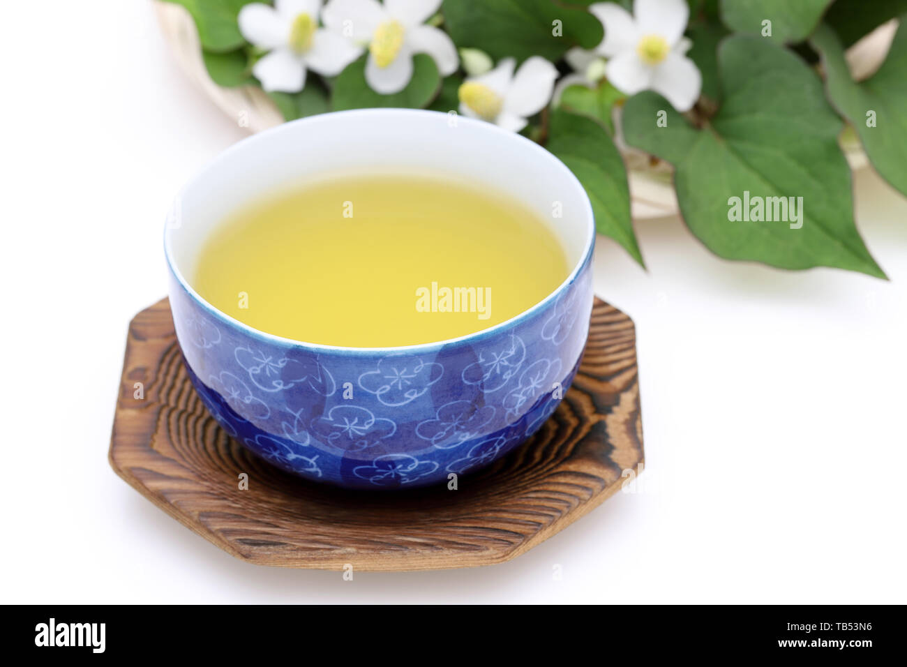 Houttuynia cordata tè, dokudami sano bere, su sfondo bianco Foto Stock