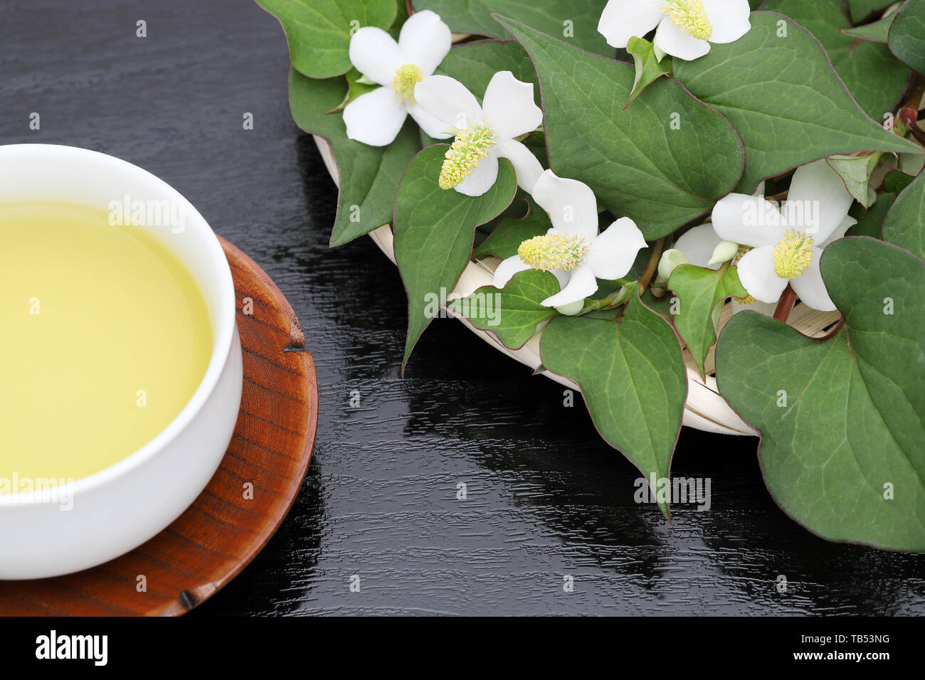Houttuynia cordata tè, dokudami sano bere, su sfondo nero Foto Stock