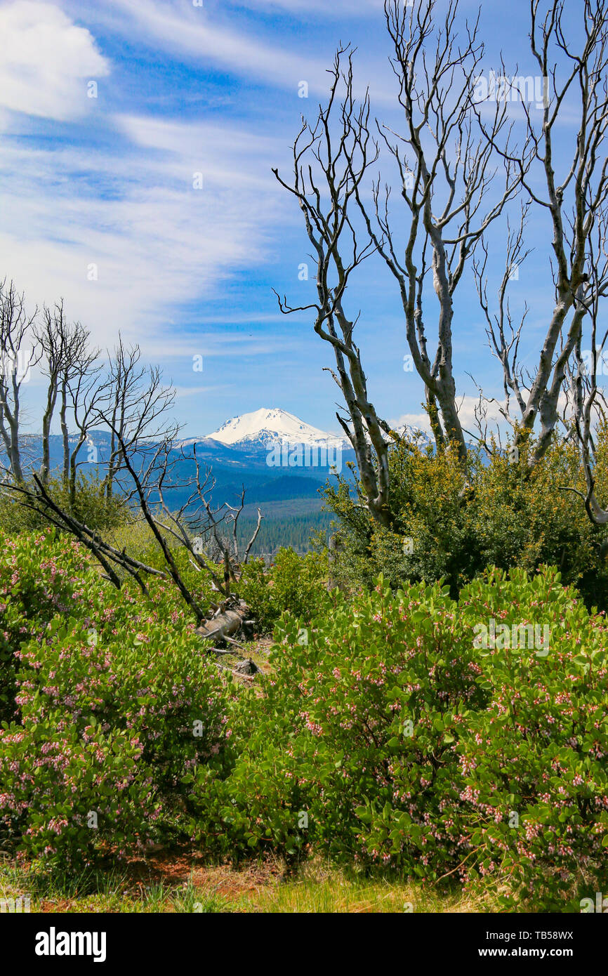 Hat Creek Rim Punto Panoramico, CALIFORNIA, STATI UNITI D'AMERICA Foto Stock