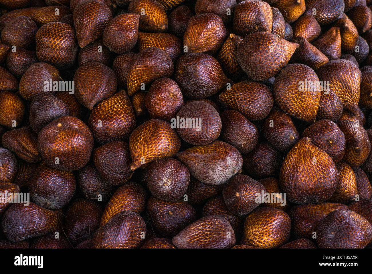frutta del serpente Foto Stock