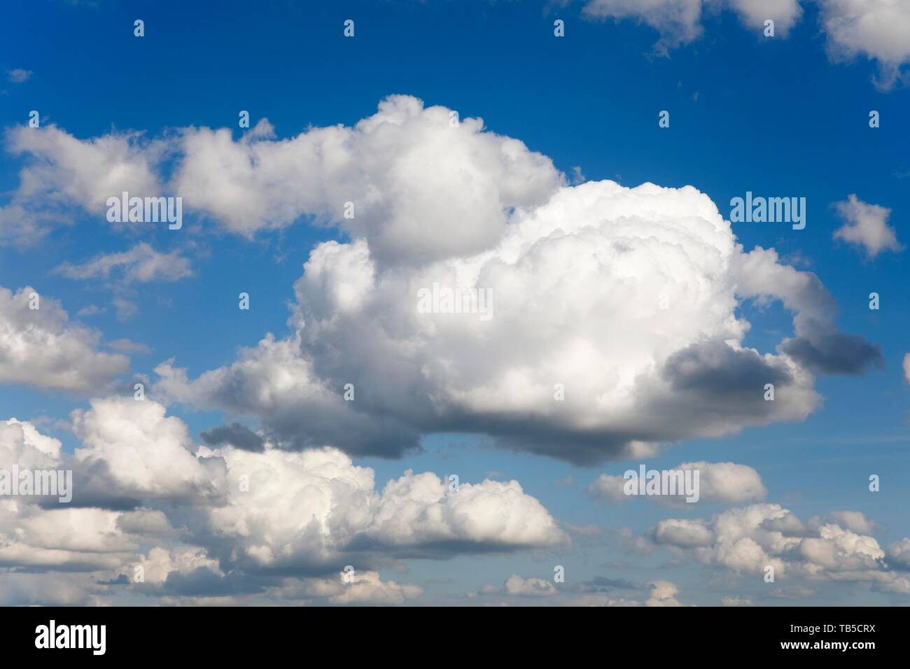 Cluster nuvole e nuvole di primavera, cumulus nubi nel cielo blu, Schleswig-Holstein, Germania Foto Stock