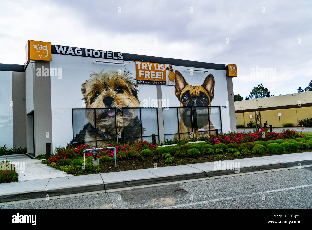 Wag Hotel imbarco pet facility in Silicon Valley California USA Foto Stock