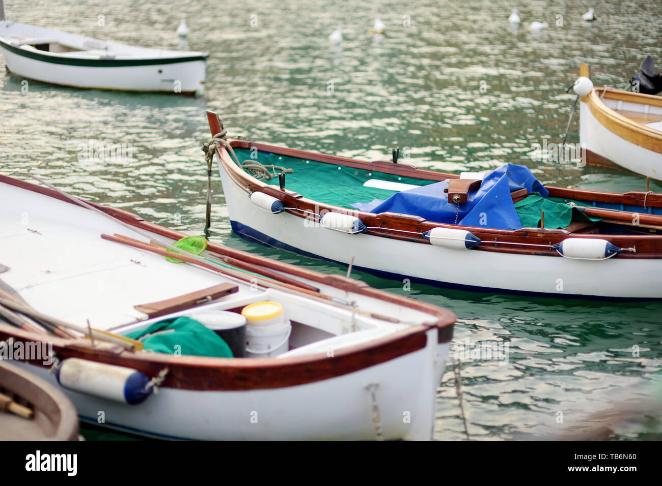 Piccoli yacht e barche da pesca a marina di Porto Venere town, situato in provincia di La Spezia in Liguria, parte della Riviera Italiana, Italia. Foto Stock