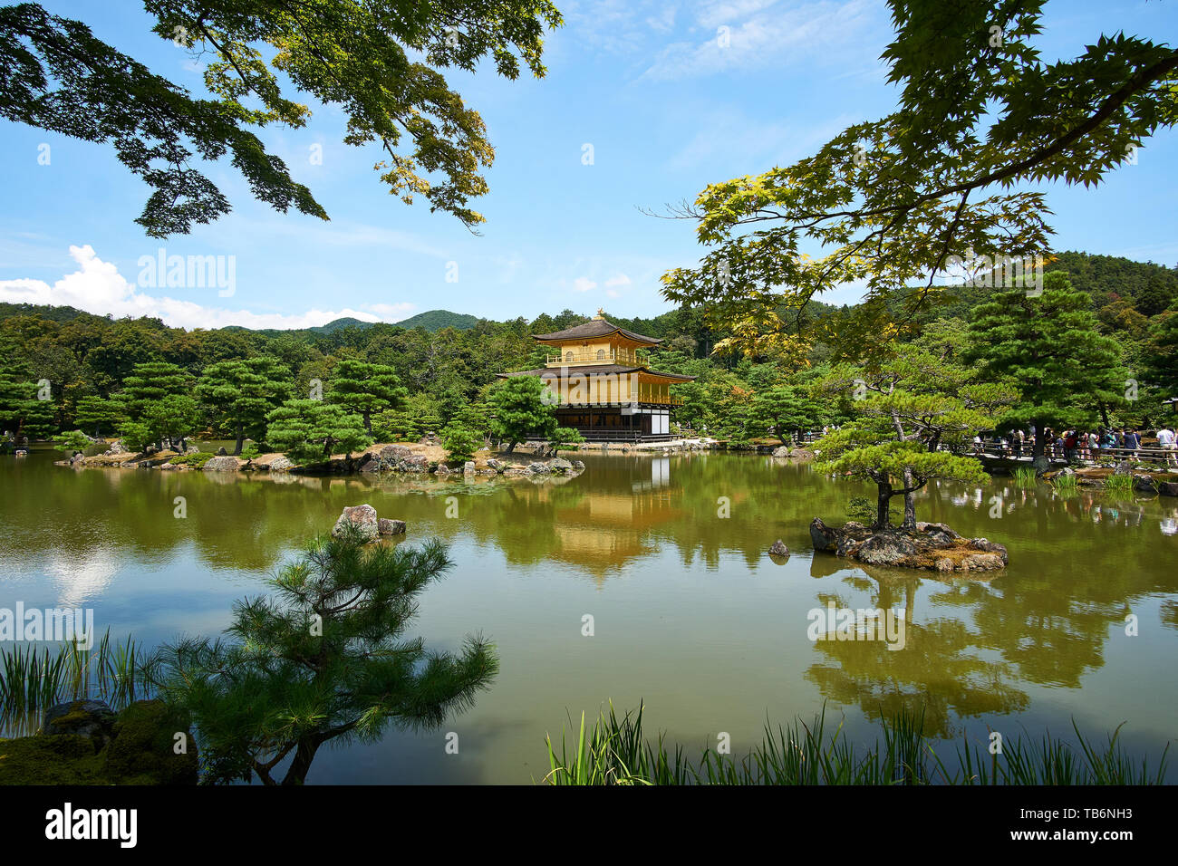 (Kinkakuji padiglione d'Oro) riflette sull'acqua, circondato da alberi e visitatori, su una chiara, soleggiate giornate estive a Kyoto, in Giappone. Foto Stock