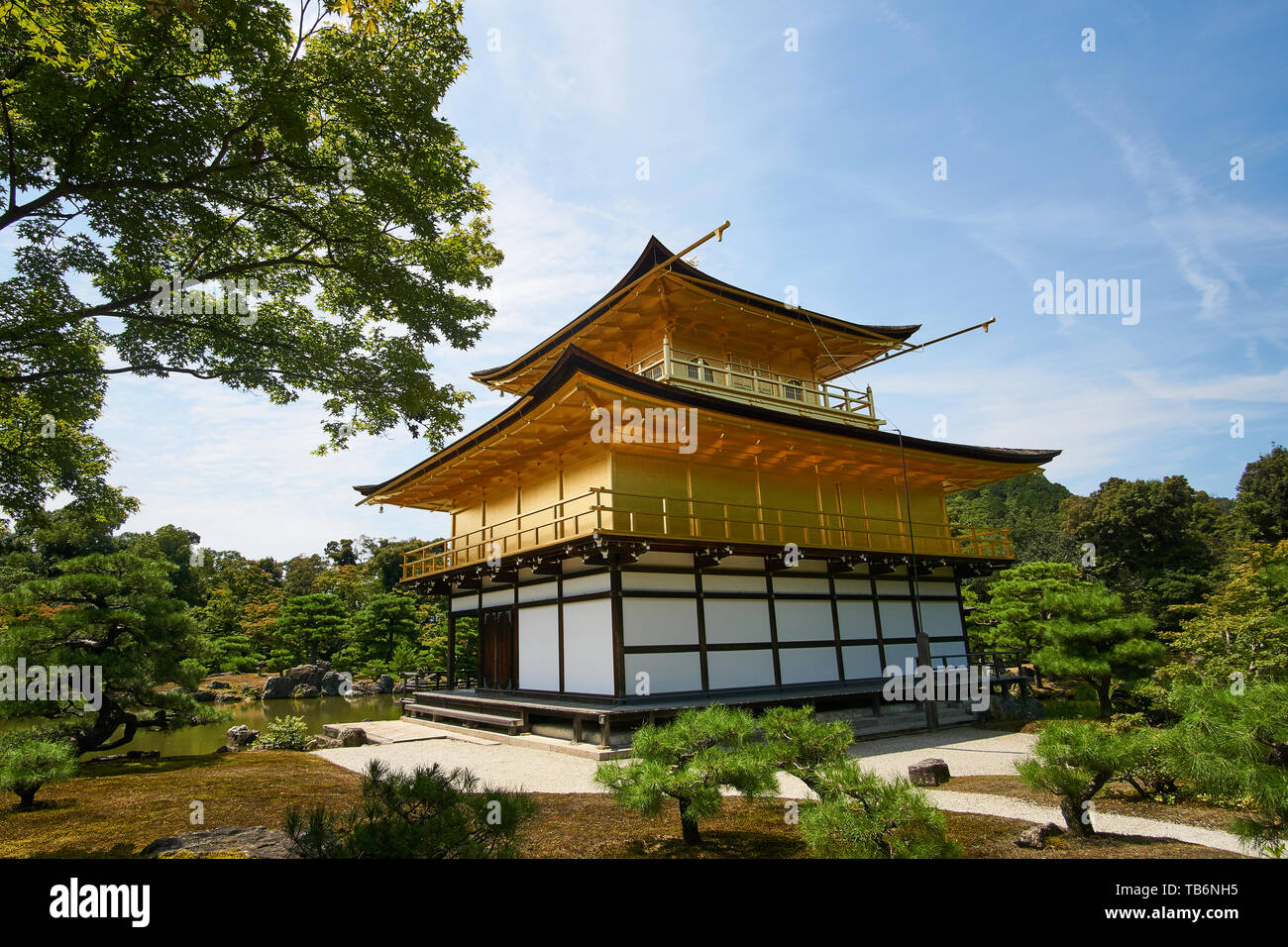 (Kinkakuji padiglione d'oro) è visto dal retro, circondato da alberi e da uno splendido paesaggio, su una chiara, soleggiate giornate estive a Kyoto, in Giappone. Foto Stock