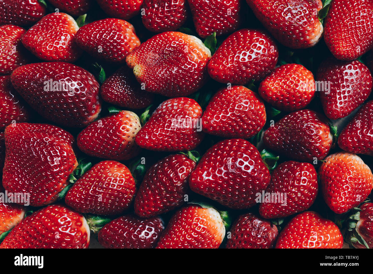 Immagine di sfondo di rosso Fragole visto dal di sopra, sano cibo dolce, di vitamine e di concetto di fruttato. Telaio alimentare sfondo, piana, laici alto punto di vista Foto Stock