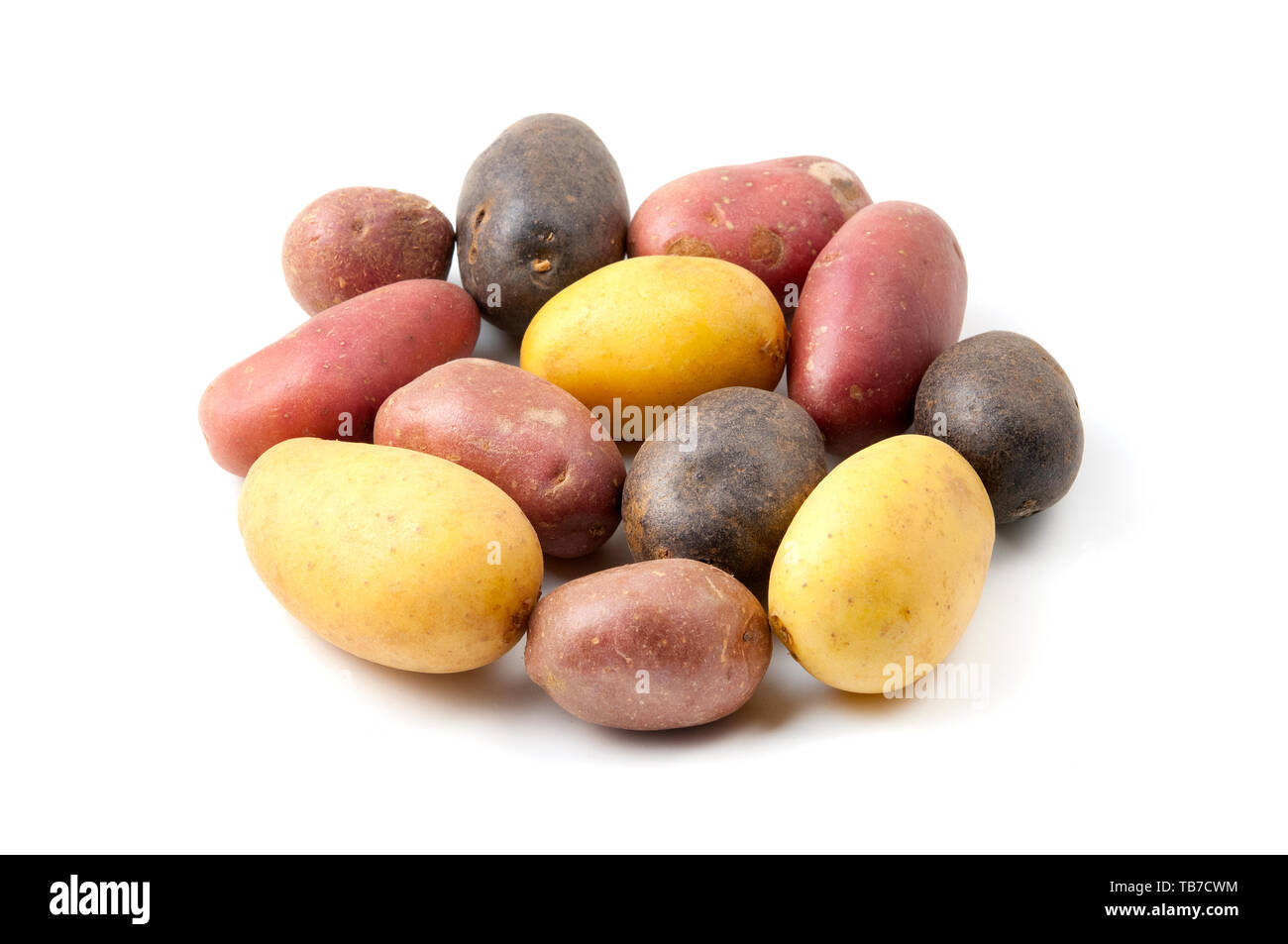 Patate con pigmentazioni diverse (Solanum tuberosum) su uno sfondo bianco Foto Stock