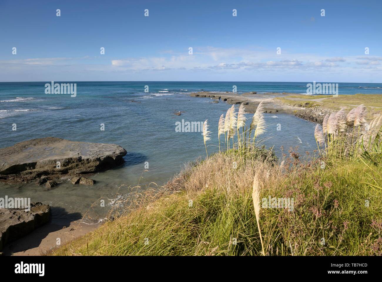 East Cape Coast, Gisborne distretto, Isola del nord, Nuova Zelanda Foto Stock