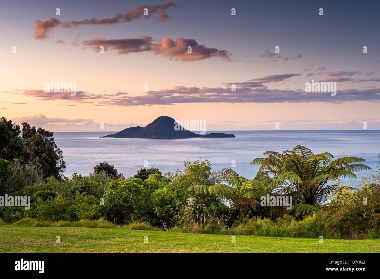 Isola di Vulcano Isola Bianca dalla terraferma con palme, tramonto, Whakaari, isola di Vulcano, Baia di Planty, Isola del nord, Nuova Zelanda Foto Stock