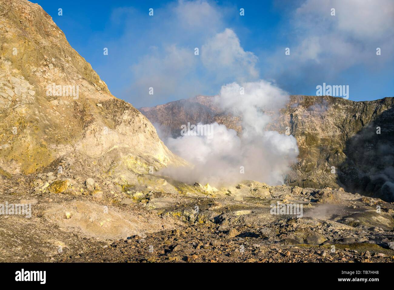 Le formazioni rocciose e giallo zolfo sull'isola vulcanica di Isola Bianca con vapore ascendente dal cratere, Whakaari, isola vulcanica, Baia di Foto Stock