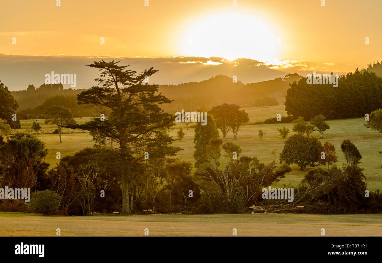 Paese collinare in atmosfera serale, Whangarei District, Northland e North Island, Nuova Zelanda Foto Stock